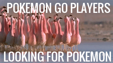pokemon Go Players